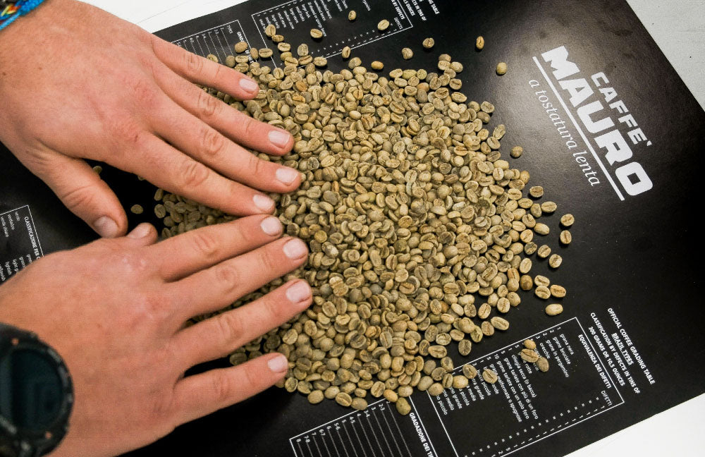 Caffe Mauro Espresso Pieno Whole Bean Coffee 2.2lb/1kg