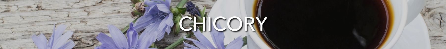 Chicory