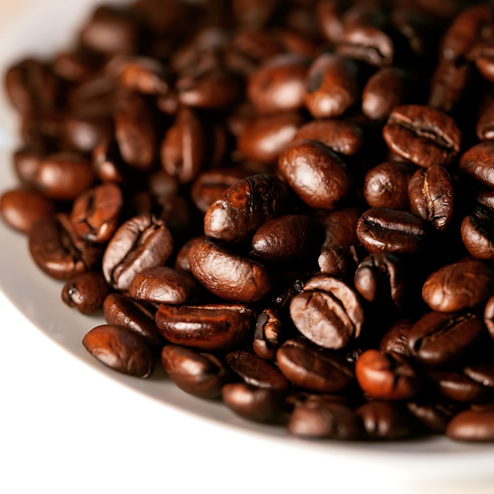 Passalacqua Harem 100% Arabica Whole Bean Coffee 17.6oz/500g
