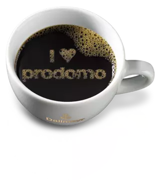 Dallmayr Prodomo Whole Bean Coffee 17.6oz/500g
