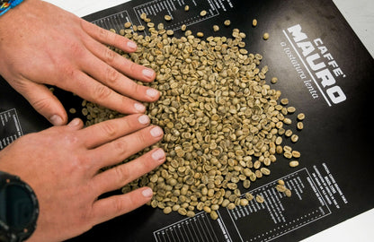 Caffe Mauro Avvolgente Whole Bean Coffee 2.2lb/1kg