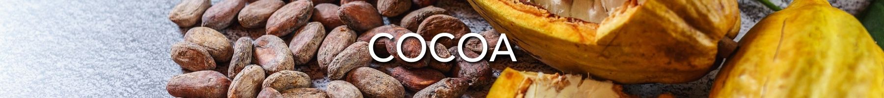 Cocoa