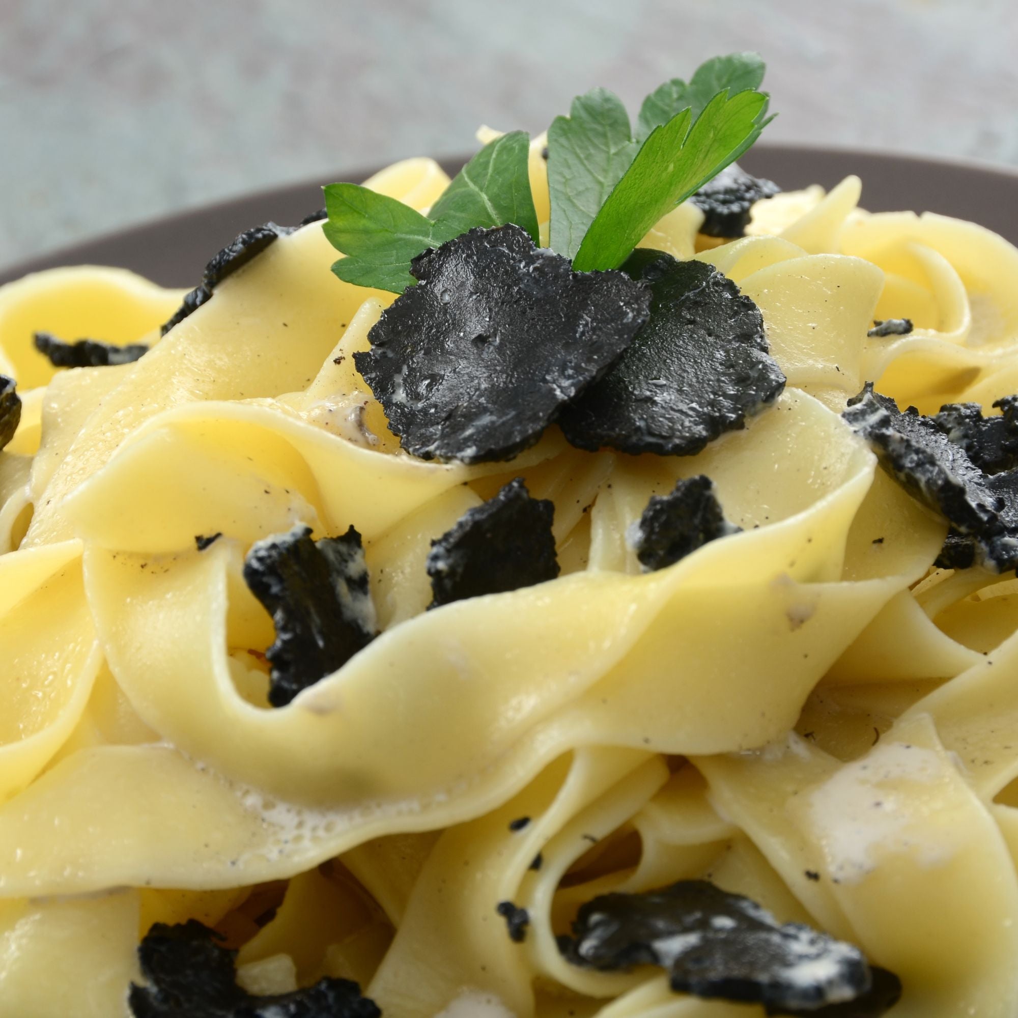 Antichi Poderi Toscani Truffle Pappardelline Pasta 8.8oz/250g