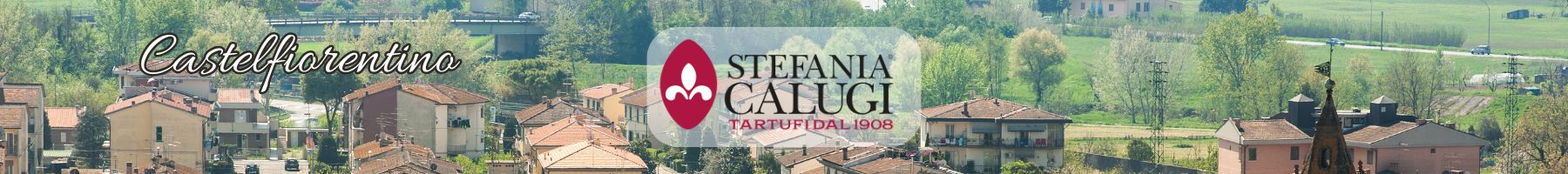 Stefania Calugi