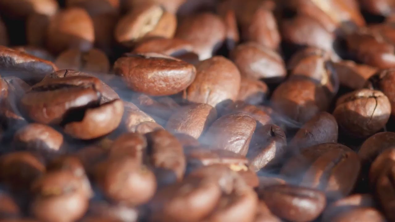 Load video: Promotional Video for European Specialty Coffee
